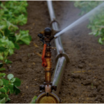 Water is a Critical Resource - the Nordics  Continuously Develop New Innovations for the World...