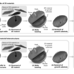 The Foundry Problem of Two-Dimensional Electronics