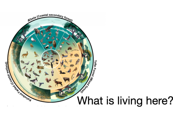 The Wildlife in the Air! Major Challenges about Biodiversity being Solved by Denmark…